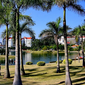  , (Xiamen) .      .